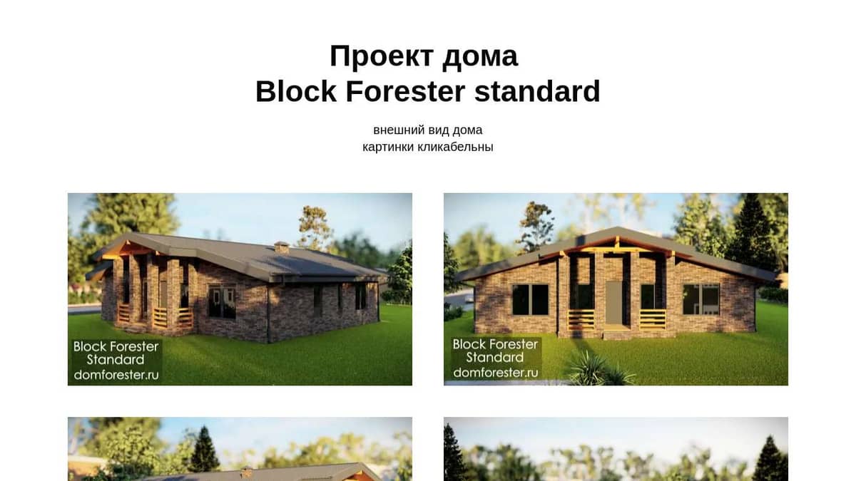 Block Forester standard- проект одноэтажного дома из кирпича и газобетонных  блоков 100 кв.м.