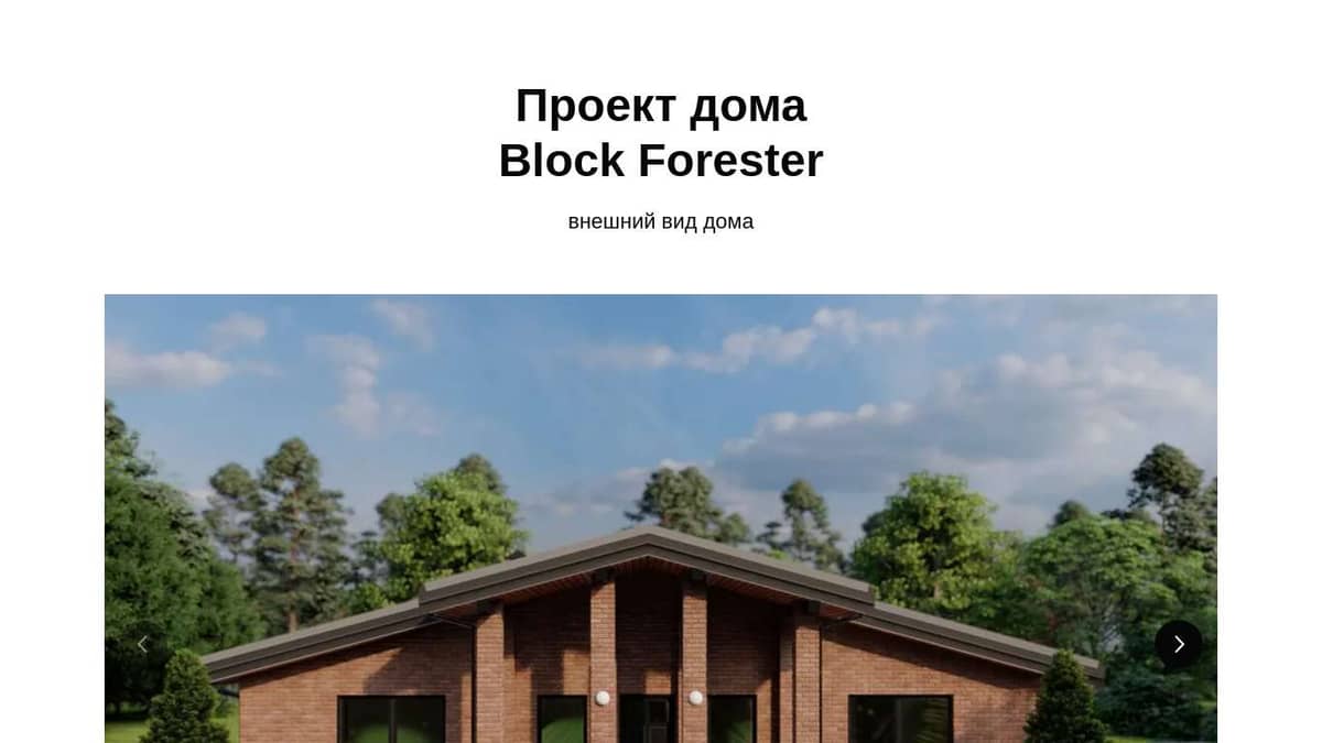 Block Forester - проект одноэтажного дома из кирпича и газобетонных блоков  140 кв.м.